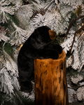 BLACK TEDDY BEAR 18"