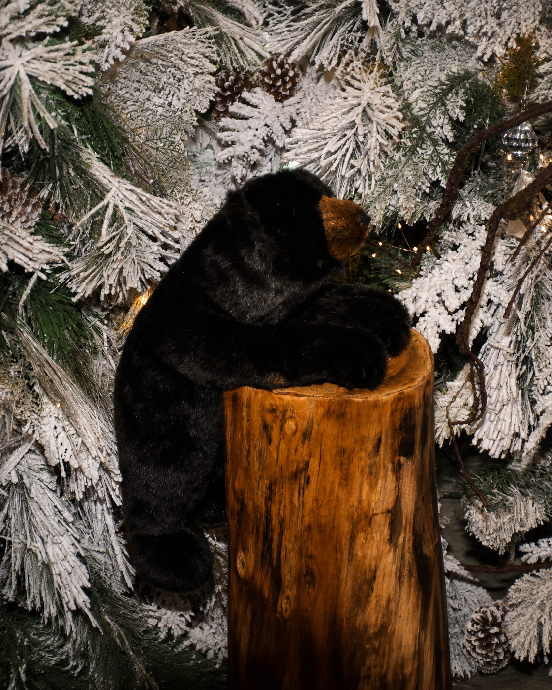 BLACK TEDDY BEAR 18"