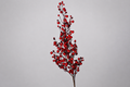 VARA DE BERRY  ROJO