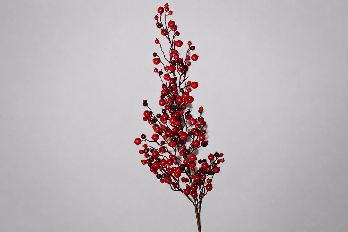 VARA DE BERRY  ROJO