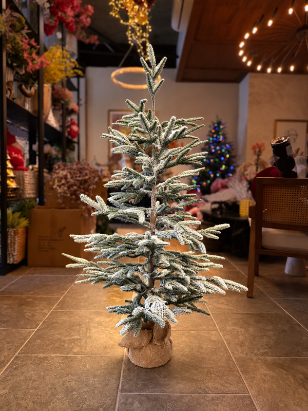 Árbol cipres 120 cm