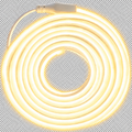MANGUERA DE NEON DOBLE VISTA 10 MTS CALIDA