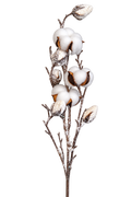 VARA DE ALGODON 80cm