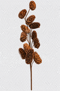 VARA DE PIÑAS NATURAL 50cm
