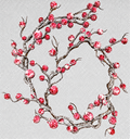 GUIA DE BERRY ROJO NEVADO 173cm