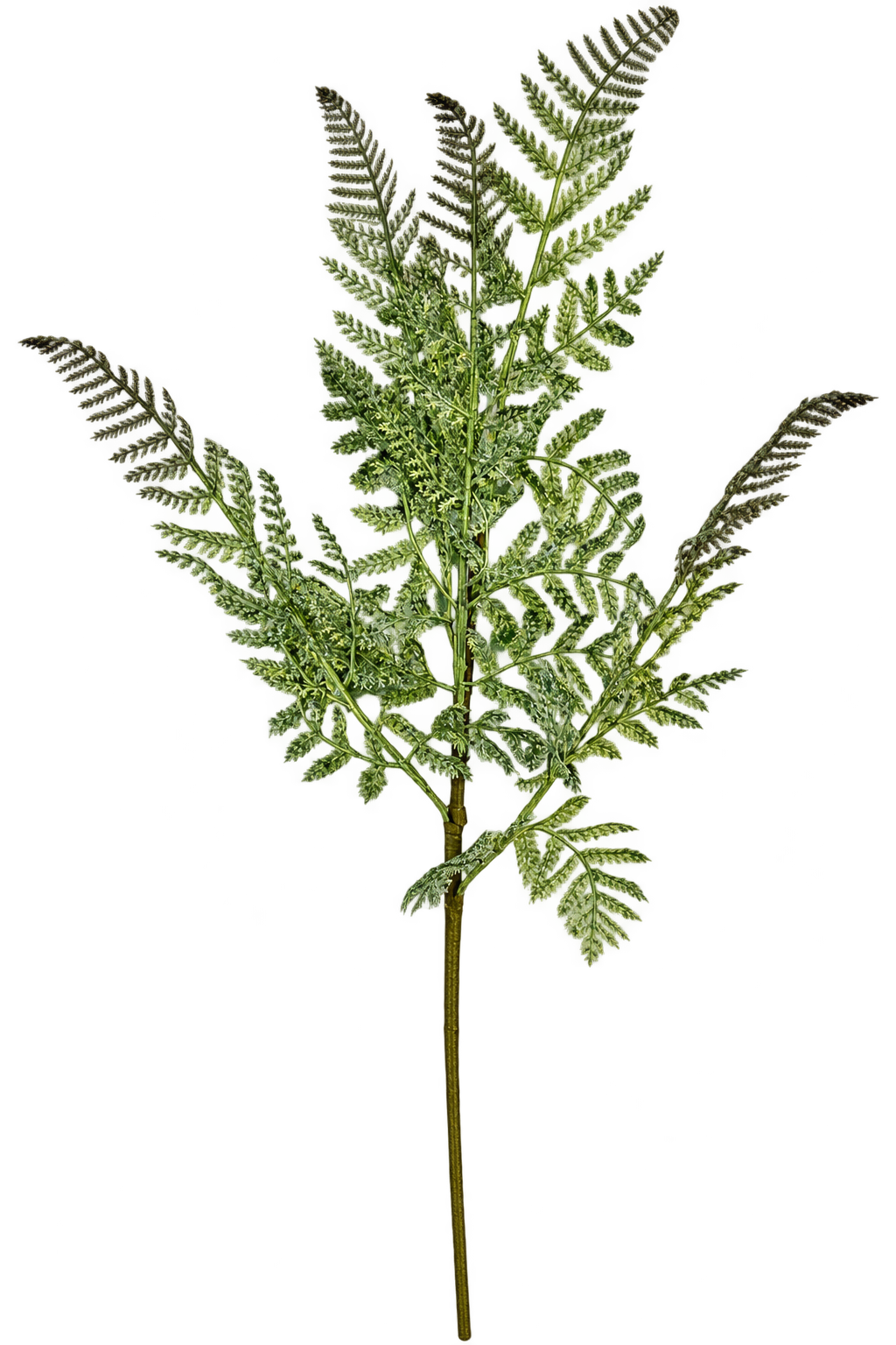 RAMA VERDE 69cm