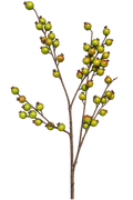 Vara de berrys verde 85 cm
