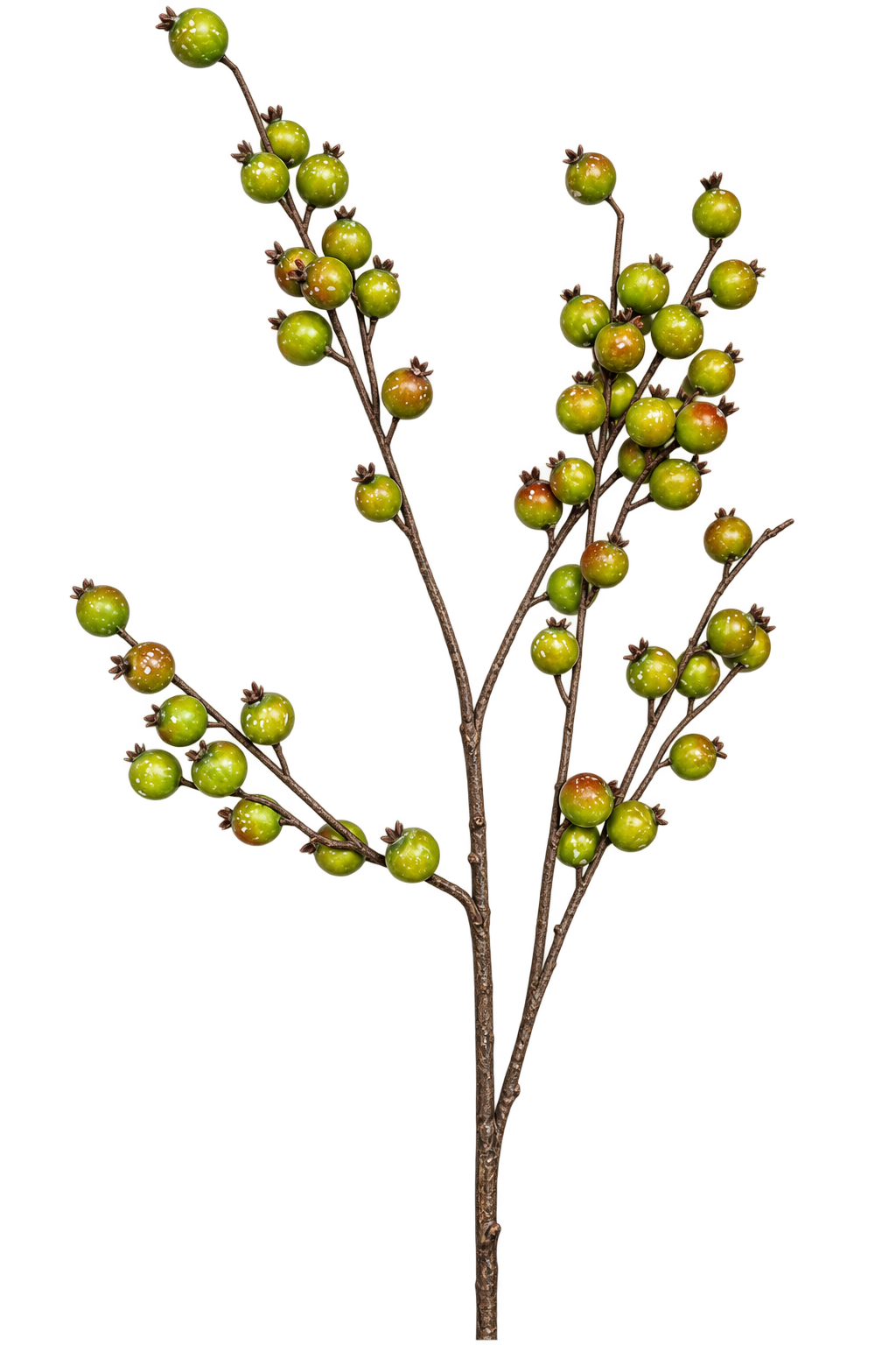 Vara de berrys verde 85 cm