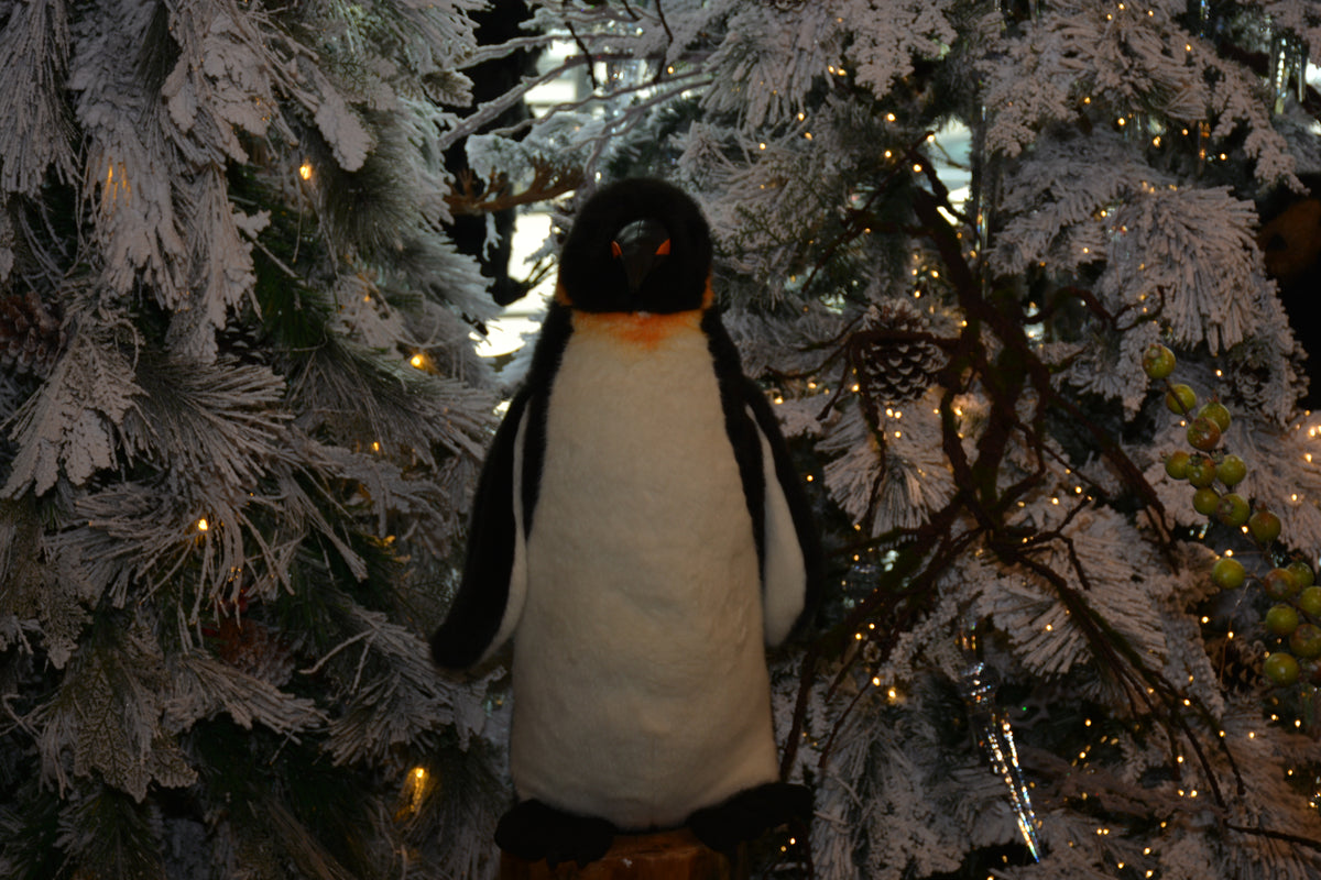 EMPEROR PENGUIN 22"