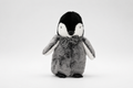 BABY PENGUIN