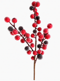 Pick de berry x3 15pulgadas
